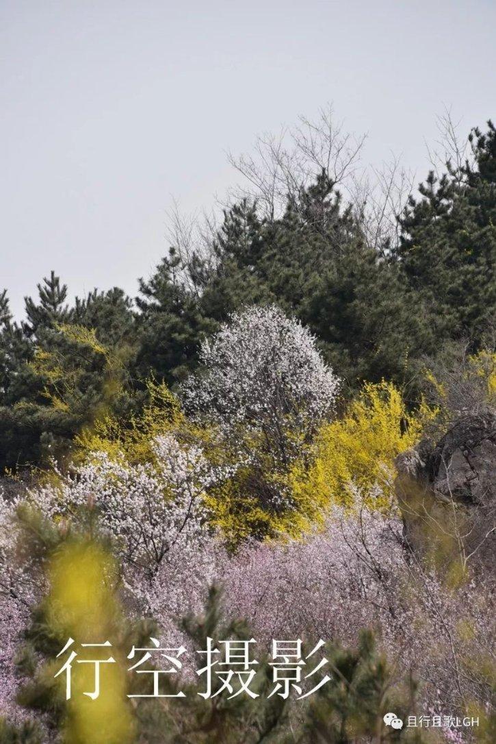 冰雪天气“排雷”，开福区对12处重点地域开展燃气安全执法