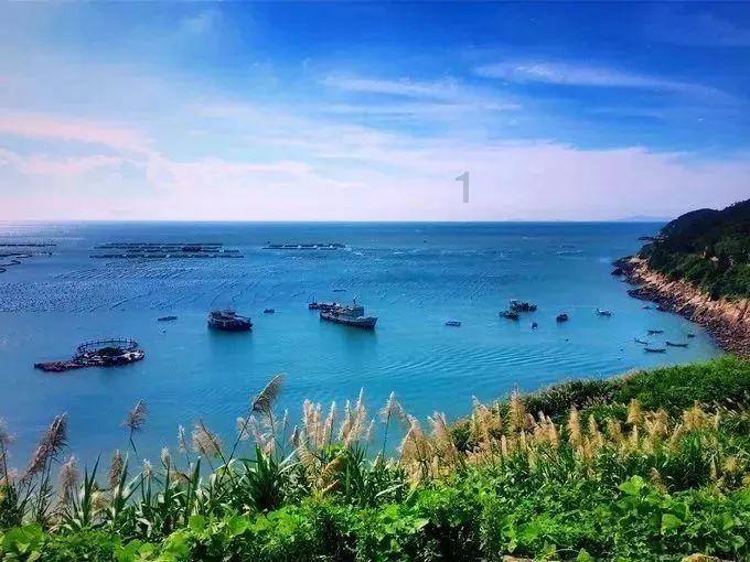 博主:山东队新援泽卡在训练中韧带损伤