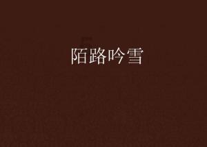 伊明牌PGH115-L2(15-100) PGH142-L1(3-10速比)在数控车床上用行星减速机
